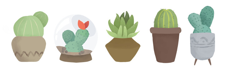 Set of cacti and succulents. Cactus. flat illustration house plants