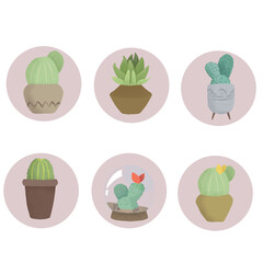 Set of cacti and succulents. Cactus. flat illustration house plants