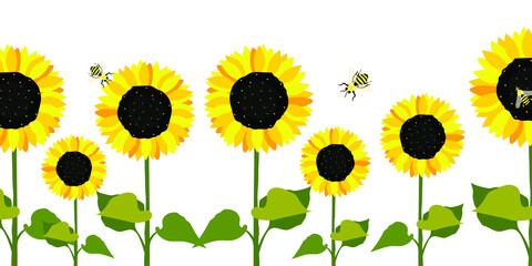 Sunflower flower on a white background. Postcard Summer cute sunny for printing on kitchen textiles, interiors, floral prints. Vector graphics.
