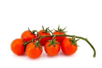 sicilian tomatoes