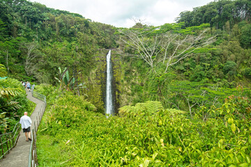 People on Trail Path leading to Akaka Falls near Hilo, on the Big Island of Hawaii in a tropical rain forest