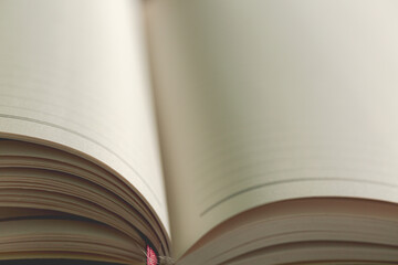A white pencil on white notebook on wooden table background, Close up & Macro shot, Selective focus, Stationery concept