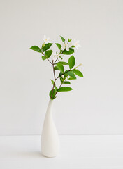 Beautiful  small white Gardenia flowers in modern vase set on wood table wall background with copy space, soft tone still life