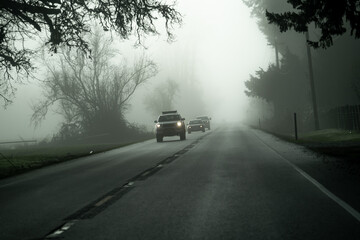 A fog shrouded highway in a rural area near Sweet Home, O4egon