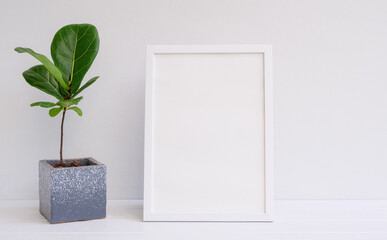 Mininmal stylish mock up poster frame and houseplant in modern cement pot on white wood table and wall background,Fiddle leaf Fig or Ficus Lyrata exotic tree for interior