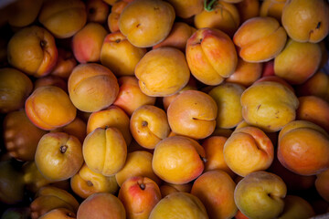 Fruit apricots top view. Red-orange fruits. Summer harvest. Apricot large plan. Natural background. Vitamin food