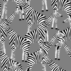 Grey background with giraffes who want to be zebras