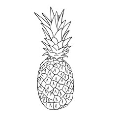 Outline black and white image of a pineapple.