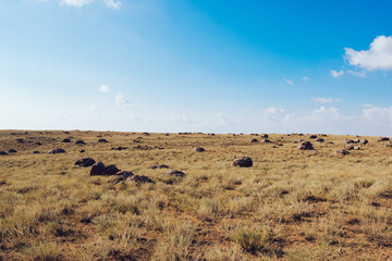Fototapeta na wymiar Rocks on grassy meadow in valley