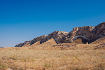 Rocky formations and dry grass in desert
