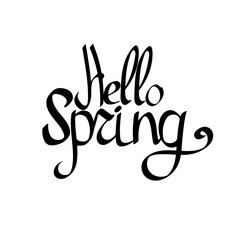 Hello Spring, calligraphy lettering, season graphic design template, vector illustration