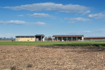 Obraz premium paesaggio di campagna in inverno