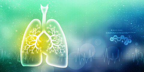 Healthy Human Lungs 2d illustration