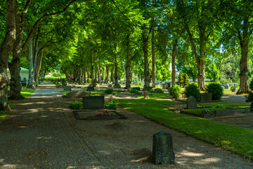 Row of gravestones at a lush green cemetery in Sweden