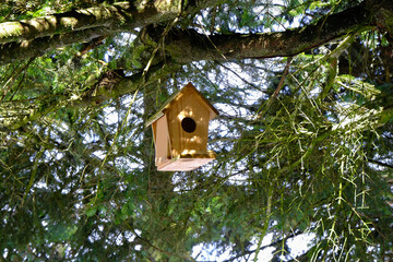 birdhouse on the tree