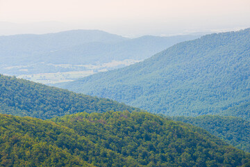 Aerial high angle view of Shenandoah Blue Ridge appalachian mountains, rolling hills from skyline drive overlook in Virginia with Stanley city rural village town