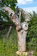 Tronc sculpté dans la campagne