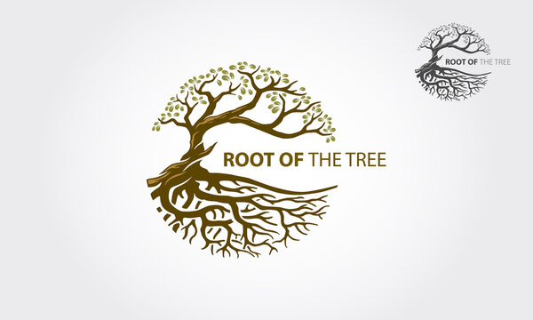 Root Of The Tree vector logo this beautiful tree is a symbol of life, beauty, growth, strength, and good health. Nature tree vector illustration logo design.