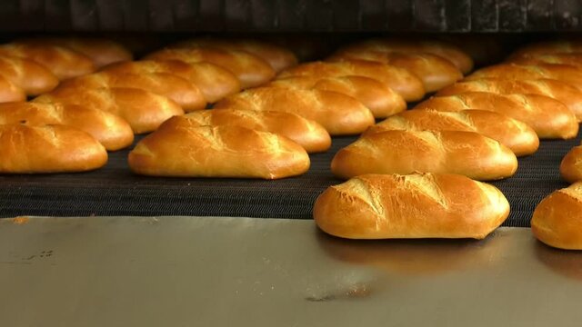 Industrial equipment and machinery at the factory of bread and sweets.  Baked Breads on the production line at the bakery
