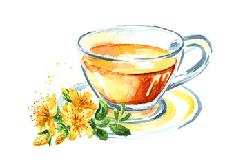 Cup of herbal tea with bunch of fresh St. John’s wort or Hypericum perforatum plant. Watercolor hand drawn illustration, isolated on white background