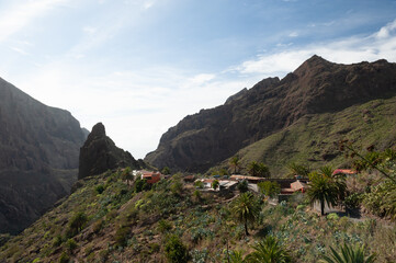 Ancient pirate village Masca. Hiking in Gorge Masca. Volcanic island. Masca valley, Masca village, Tenerife, Gorge Masca, Canary Islands, Spain. Tourist attraction. Sunny day. Desert and palm trees.
