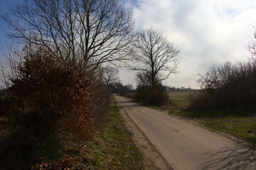 Straight Road