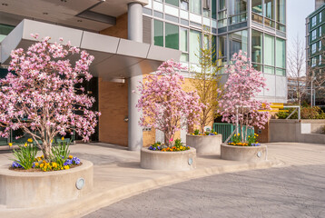 Modern Apartment Buildings with flowers and plant landscape in Vancouver, British Columbia, Canada.