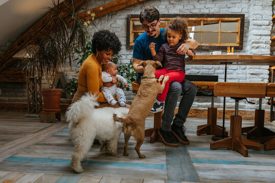 Multiracial family feeling the love with their pets