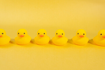 yellow rubber ducks on a yellow background. Minimal summer concept.