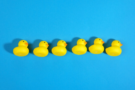 yellow rubber ducks on a blue background close-up.