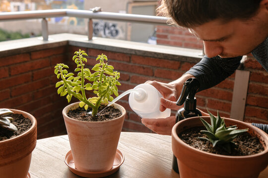 Hombre joven cauc&aacute;sico regando una planta encima de la mesa de la terraza de su casa. Cuidando plantas 