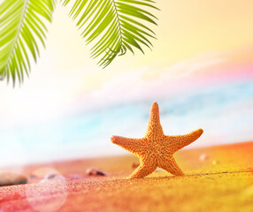 Naklejka na ściany i meble Starfish and palm on the sandy beach. Summer time.