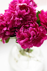 Bouquet of purple peonies on a light background in a transparent glass vase.
