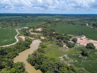 Deforestation to open cattle pasture and soybean field farms in the Amazon rainforest, Rondonia, Brazil. Concept of ecology,livestock, conservation, co2, agriculture, global warming and environment.	