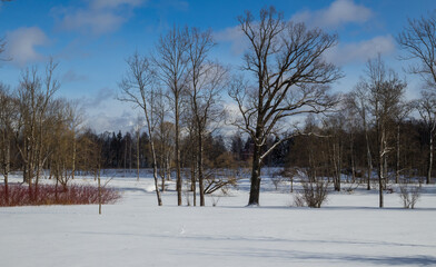 Winter landscape in a city park