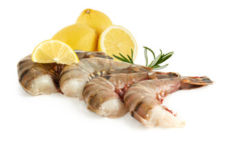 fresh raw shrimps with lemon and rosemary isolated white background 