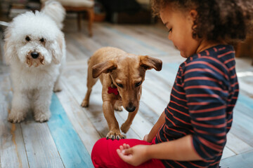 Portrait of girl playing with pets