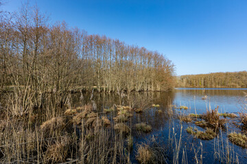 Pond in the Loire Valley Countryside - near Langeais - France
