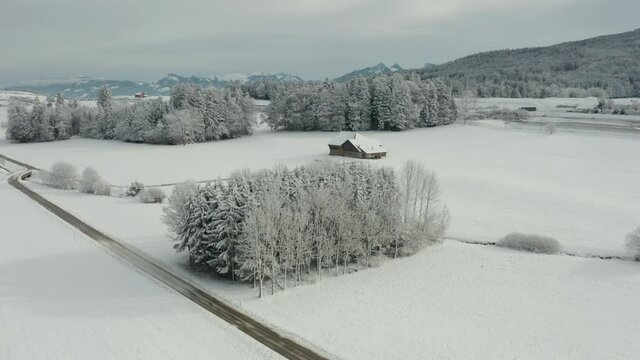 Aerial of group of snow covered trees with a small cabin  in beautiful winter landscape