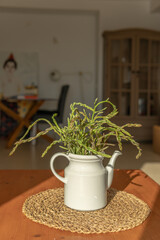 Wild green asparagus (Asparagus officinalis) in a white porcelain bowl