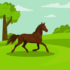 beautiful brown horse on the background of nature. landscape of fields. Horseback riding. farm. poster card with horses