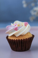 Mini cupcake with Buttercream Icing. Easter cupcake decorated with candy sprinkles.