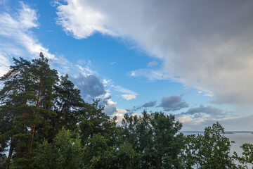 Obraz premium Beautiful bottom up view on tops of pine trees on cloudy sky background. Gorgeous nature backgrounds.