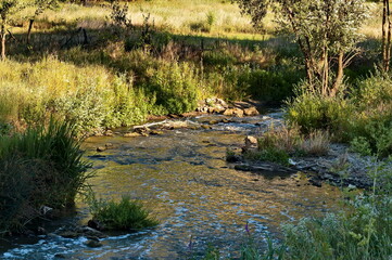 Picturesque view to the confluence of the rivers Mali Lom and Beli Lom in the valley of the village of Nisovo and the extension as Rusenski Lom, Bulgaria 