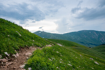 Fototapeta premium summer landscape on a cloudy day in the mountains with a trail. Russia, Adygea