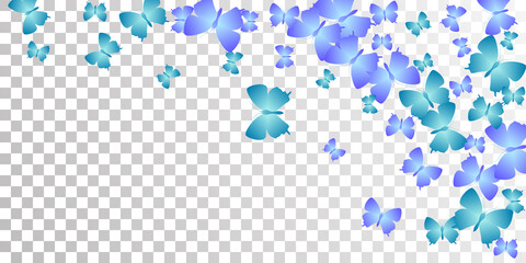 Fairy blue butterflies cartoon vector wallpaper. Spring cute insects. Detailed butterflies cartoon kids illustration. Sensitive wings moths graphic design. Fragile beings.