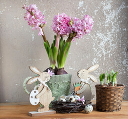 Easter still life with flowers. Pink hyacinths in a decorative garden watering can and a nest with quail eggs.
