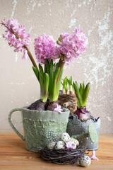 Easter still life with flowers. Pink hyacinths in a decorative garden watering can and a nest with quail eggs.