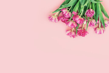 Fototapeta premium Modern floral backgrounds, flowers styling flat lay