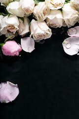Roses flowers in wet dark surface with water circles